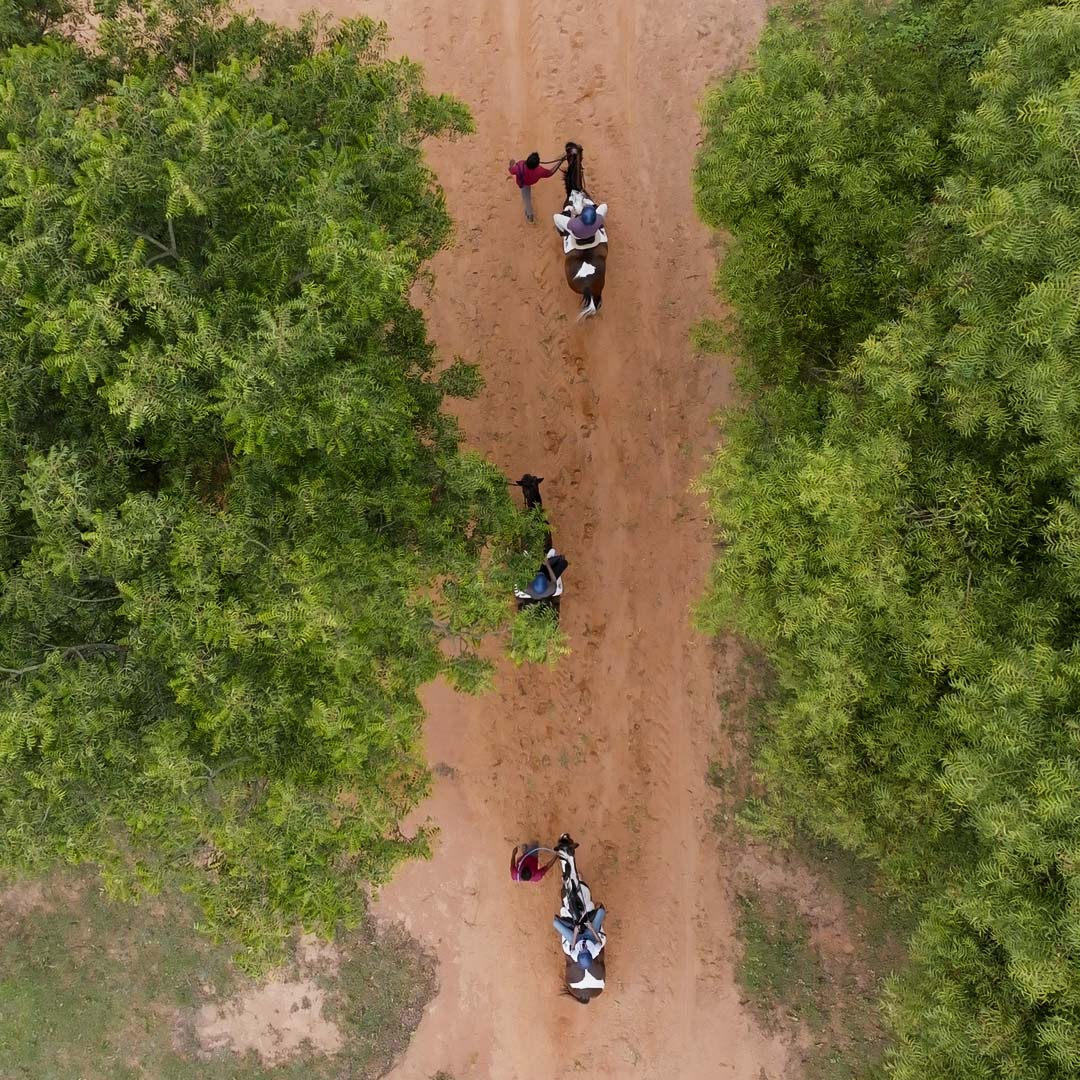 Ride quietly down a picturesque forest trail set within the campus. 